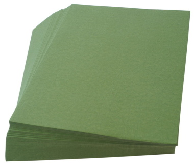 Rückenblätter 100 Stück Lederkarton Binderücken Karton Basteln A4 grün 250 g/qm