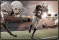 Schreibunterlage Mini 500 x 340 mm American Football