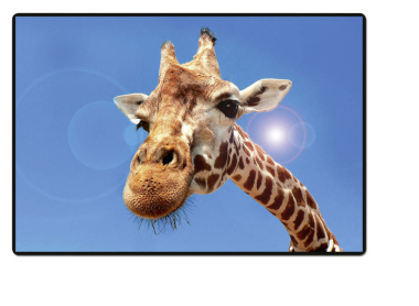Schreibunterlage Mini 500 x 340 mm Poster Pad - Giraffe