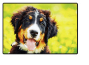 Schreibunterlage Mini 500 x 340 mm Poster Pad - Berner...